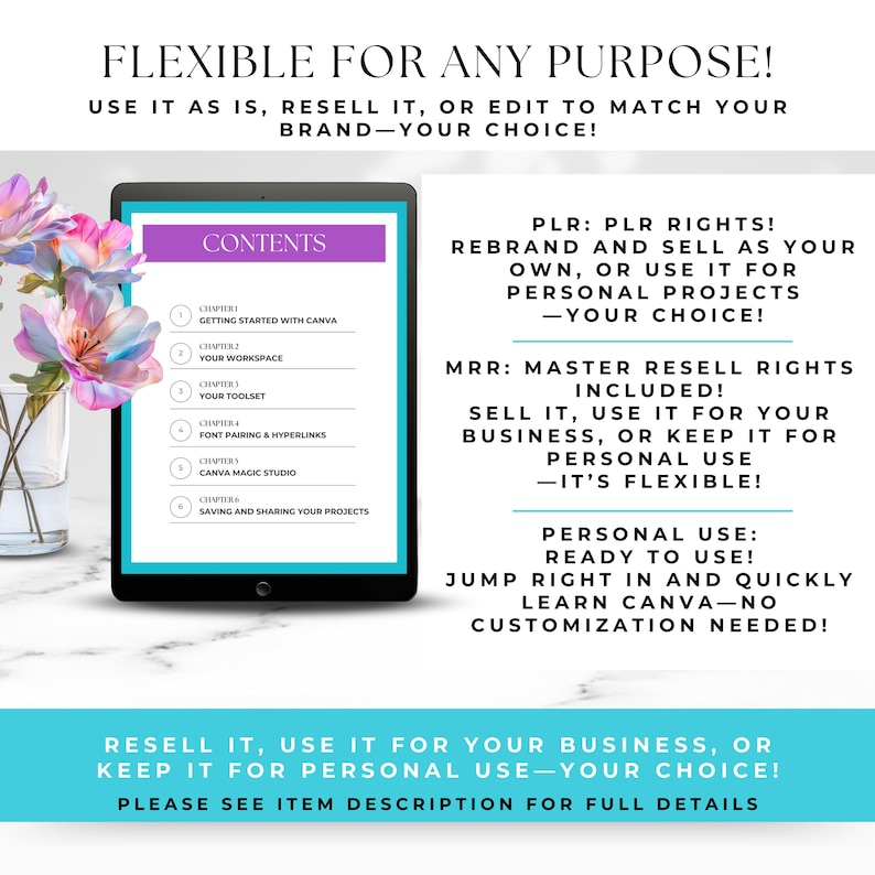 Canva Crash Course With MRR, PLR - Image 2