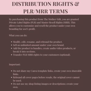 Faceless Creator Starter Kit | PLR & MRR Digital Products,